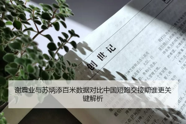 谢震业与苏炳添百米数据对比中国短跑交接期谁更关键解析