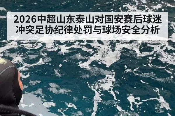 2026中超山东泰山对国安赛后球迷冲突足协纪律处罚与球场安全分析