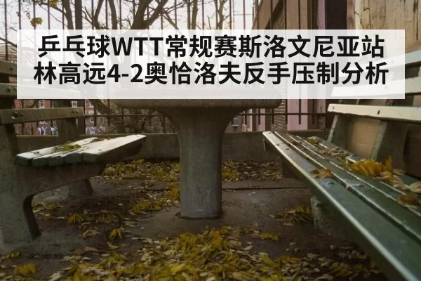 乒乓球WTT常规赛斯洛文尼亚站林高远4-2奥恰洛夫反手压制分析