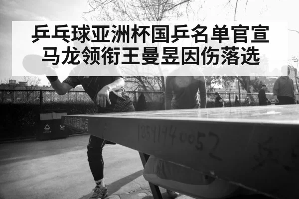 Ma Long table tennis