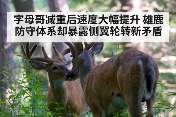 字母哥减重后速度大幅提升 雄鹿防守体系却暴露侧翼轮转新矛盾